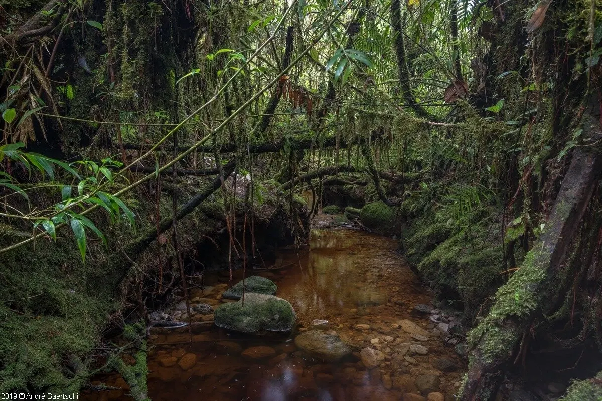 Imagen de Fundo Alto Nieva